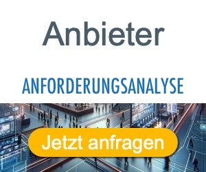 anforderungsanalyse Anbieter Hersteller 