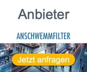 anschwemmfilter Anbieter Hersteller 