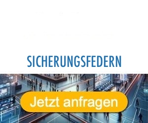 sicherungsfedern Anbieter Hersteller 