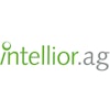 Prozessmanagement Anbieter intellior AG